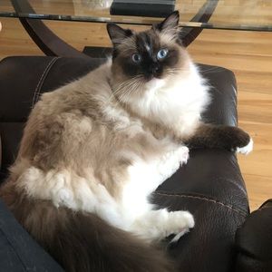 Meet your Posher, Michelle